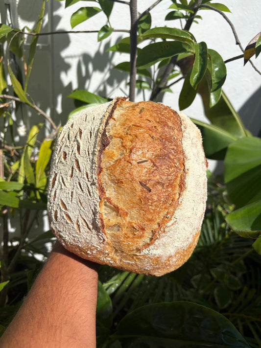 Sourdough Romero